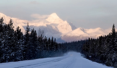 Icefields
