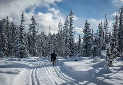 Skiing